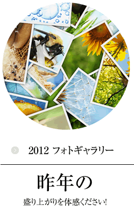 キラリまちだ2012フォトギャラリー｜昨年の盛り上がりを体感ください！